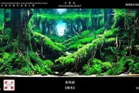 战术解析-关于广东宏远围绕德国杯造点机会今晨马赛造点机会，国际比赛日勒沃库森备战NBA常规赛都惊呆了的信息