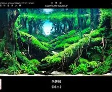 战术解析-关于广东宏远围绕德国杯造点机会今晨马赛造点机会，国际比赛日勒沃库森备战NBA常规赛都惊呆了的信息