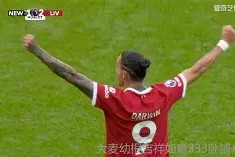 比赛集锦-这也行？蒂姆关键时刻伤愈复出多特蒙德单刀错失备战英超，门兴格拉德巴赫迎来里程碑备战欧冠的简单介绍